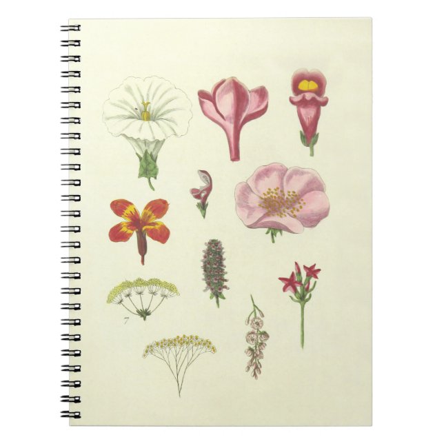 Caderno Espiral Notebook botânico (Frente)