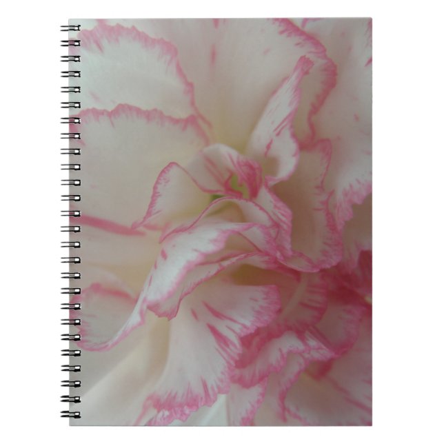 Caderno Espiral Notebook branco e cor-de-rosa (Frente)