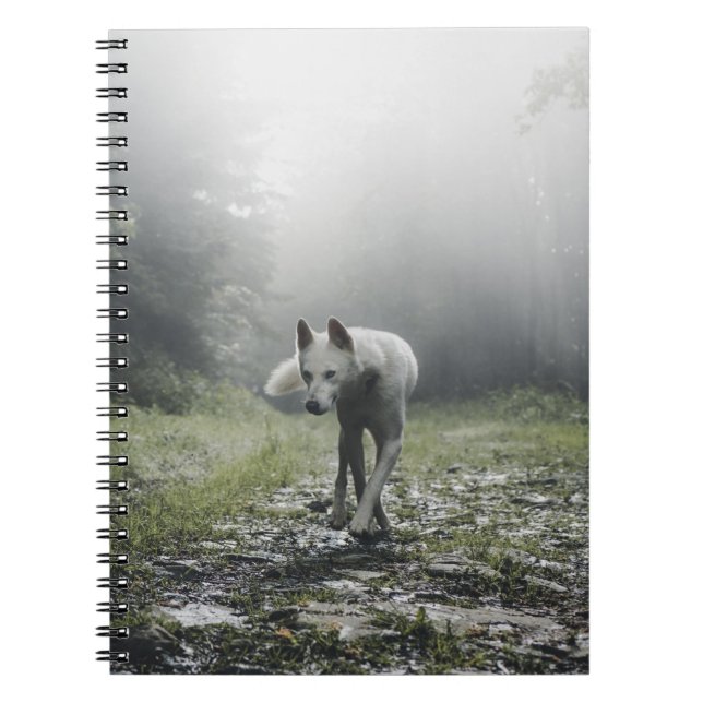 Caderno Espiral Notebook branco siberiano (Frente)