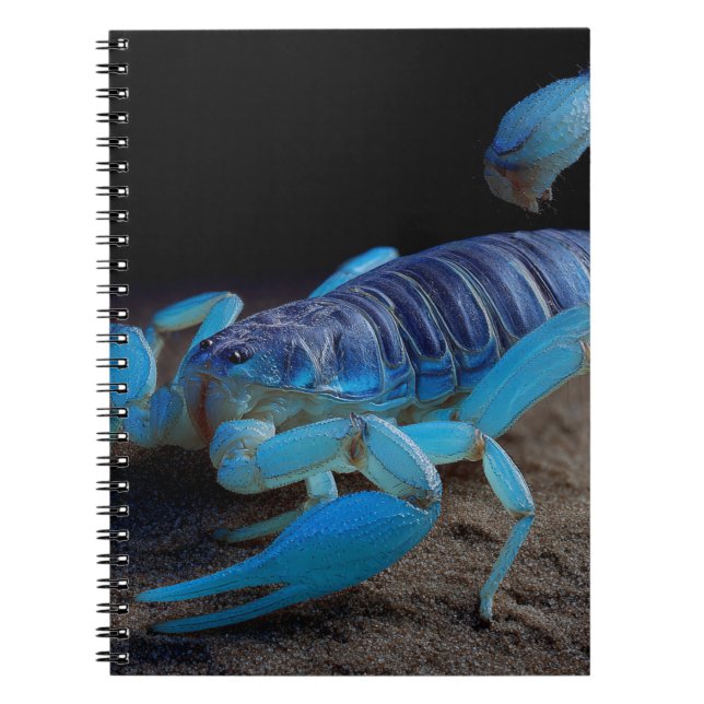 Caderno Espiral Notebook Brilhante Azul Scorpion (Frente)