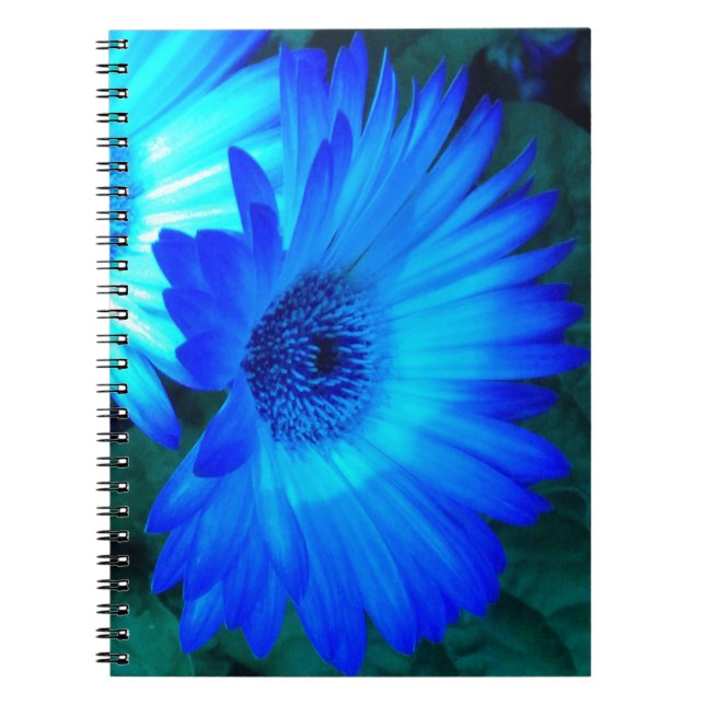 Caderno Espiral Notebook Brilliant Blue Daisies (Frente)