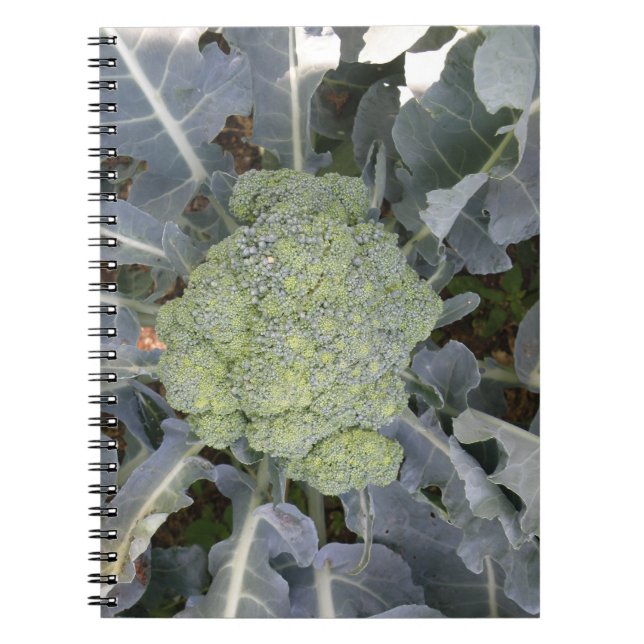 Caderno Espiral Notebook Broccoli (Frente)