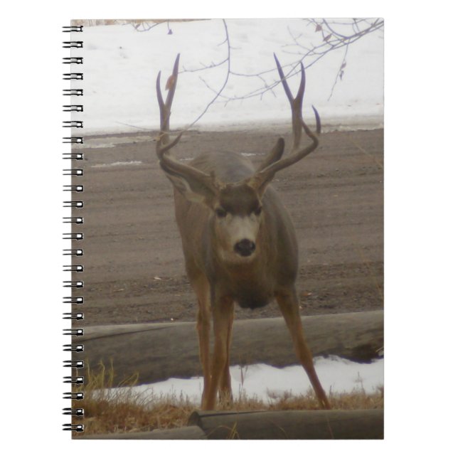 Caderno Espiral Notebook Buck Spiral (Frente)