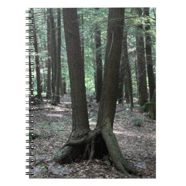 Caderno Espiral Notebook Buddy Trees (Frente)