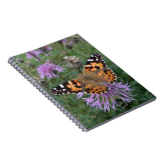 Caderno Espiral Notebook Butterfly