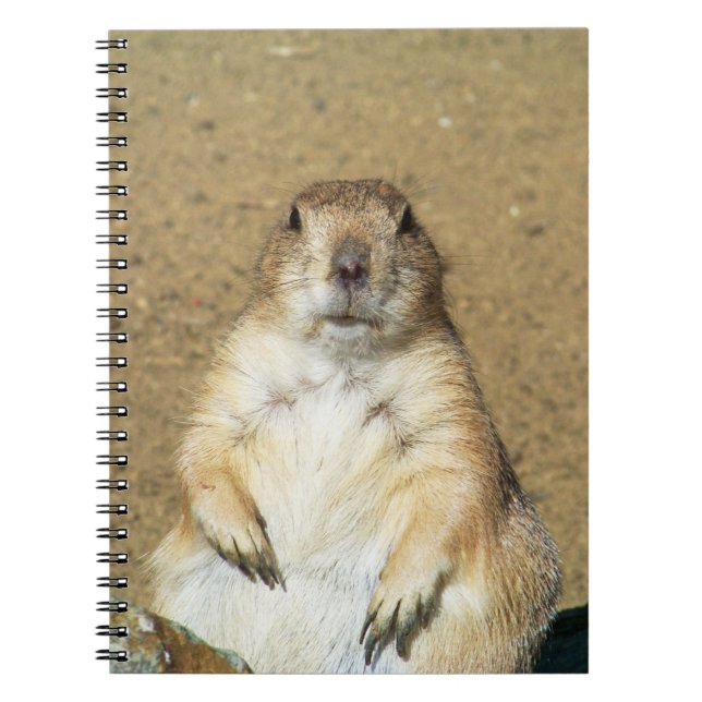 Caderno Espiral Notebook Cachorro da Prairie (Frente)