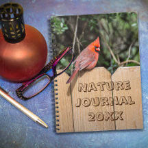 Notebook Cardinal (Pássaro Vermelho)