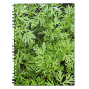 Caderno Espiral Notebook Carrot Tops