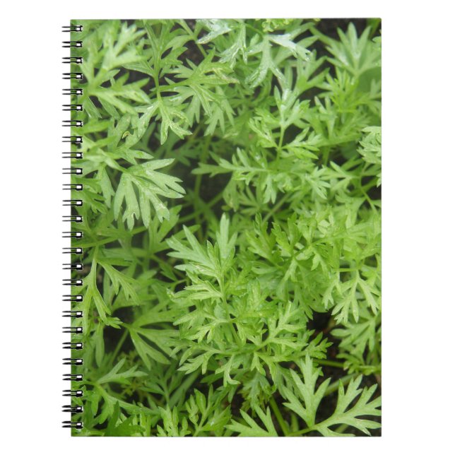 Caderno Espiral Notebook Carrot Tops (Frente)