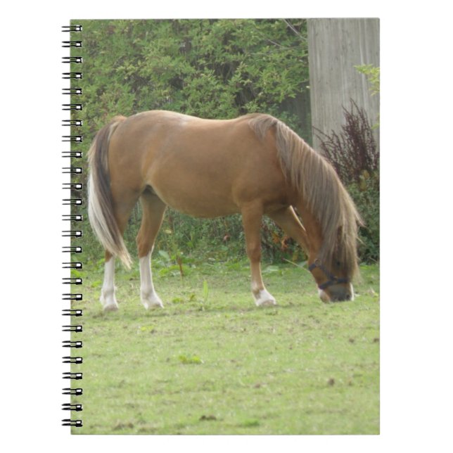 Caderno Espiral Notebook castanho-castanho-pastoso (Frente)