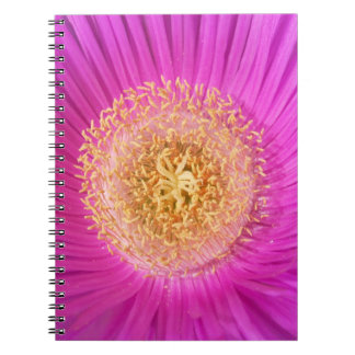 Caderno Espiral Notebook central com ventilador rosa