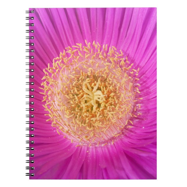 Caderno Espiral Notebook central com ventilador rosa (Frente)