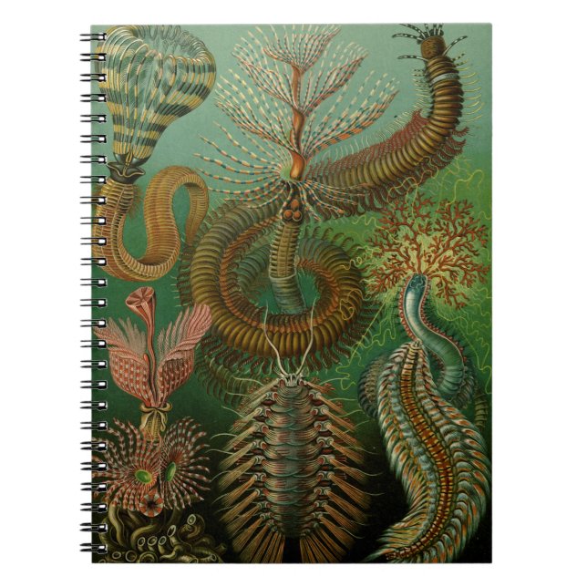 Caderno Espiral Notebook Chaetopoda de Haeckel (Frente)