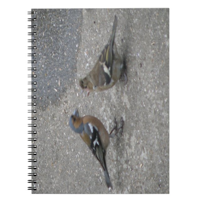 Caderno Espiral Notebook Chaffinch Feed Me (Frente)