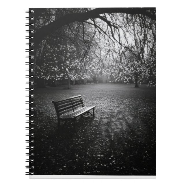 Caderno Espiral Notebook Cherry Blossoms Bench Sunrise (Frente)