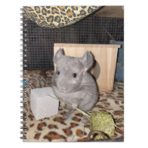 Notebook Chinchilla Spiral