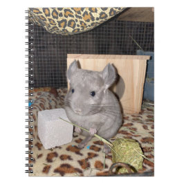 Caderno Espiral Notebook Chinchilla Spiral