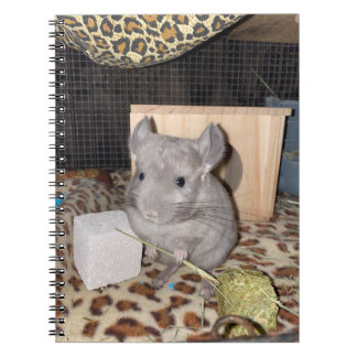 Caderno Espiral Notebook Chinchilla Spiral
