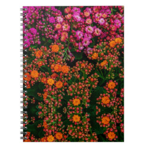 Caderno Espiral Notebook Colorous Flowers
