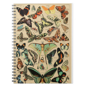 Caderno Espiral Notebook com borboleta/cartazes