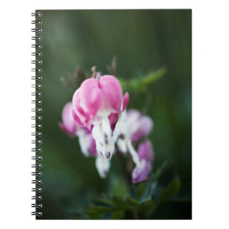Caderno Espiral Notebook com Corações Quebrados