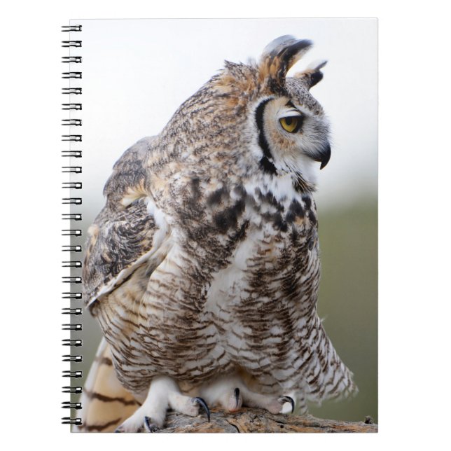 Caderno Espiral Notebook com Coroa excelente Foto 9x6 (Frente)