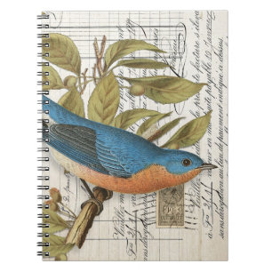 Caderno Espiral Notebook com Diário espiral Bluebird francês Vinta