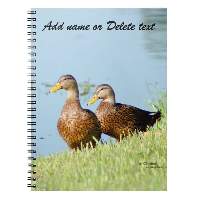 Caderno Espiral Notebook com dois belos patos (Frente)