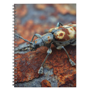 Caderno Espiral Notebook com ferrugem de besouro