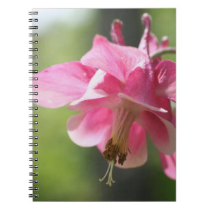 Caderno Espiral Notebook com Flor Columbina Rosa