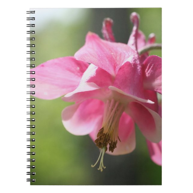 Caderno Espiral Notebook com Flor Columbina Rosa (Frente)