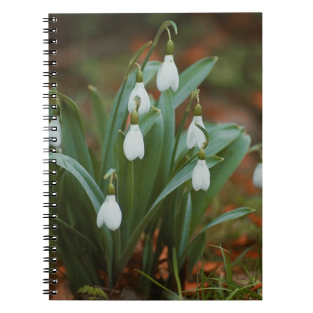 Caderno Espiral Notebook com flores em neve Espiral Foto (Frente)