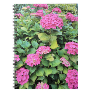 Caderno Espiral Notebook com flores rosa