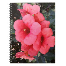 Notebook com flores rosa