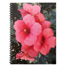 Caderno Espiral Notebook com flores rosa