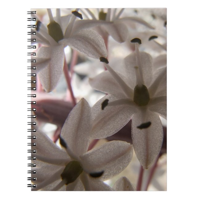 Caderno Espiral Notebook com flores rosa (Frente)