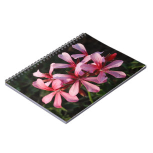 Caderno Espiral Notebook com flores rosa (80 páginas B&W)