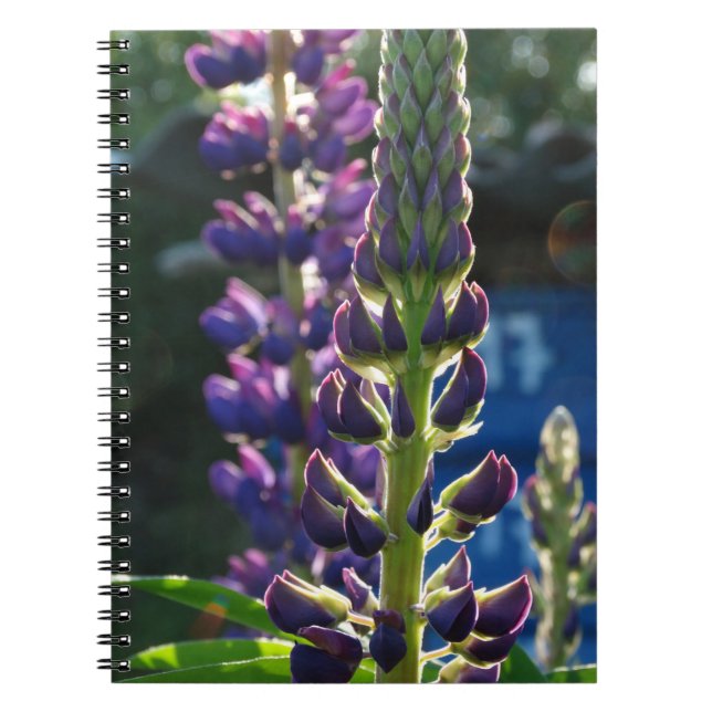 Caderno Espiral Notebook com flores roxas (Frente)