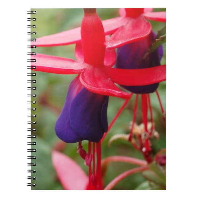 Caderno Espiral Notebook com flores roxas rosa (Frente)