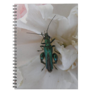 Caderno Espiral Notebook com Flower Beetle