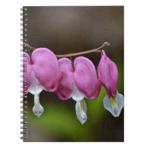 Caderno Espiral Notebook com hemorragia cardíaca