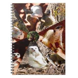 Caderno Espiral Notebook com nove triângulos Meerkat
