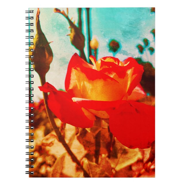 Caderno Espiral Notebook com Rosa de alimentação da ventoinha (Frente)