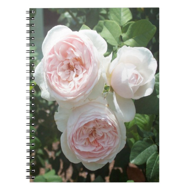 Caderno Espiral Notebook com Rosas de inglês para espiral (Frente)
