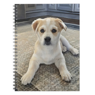 Caderno Espiral Notebook com Sobrecarga Espiral Cuteness Puppy