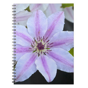 Caderno Espiral Notebook com ventilador de paixão