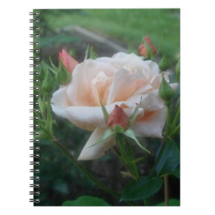 Caderno Espiral Notebook com ventilador de Rosa de pêssego