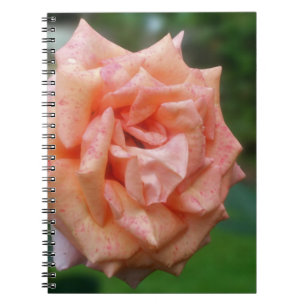 Caderno Espiral Notebook com ventilador de Rosa de pêssego movido