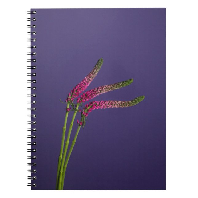 Caderno Espiral Notebook com ventilador rosa (Frente)