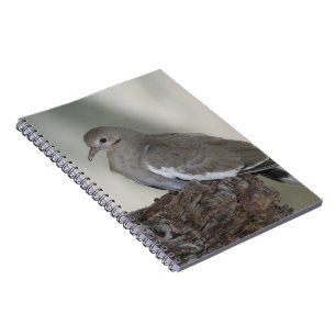 Caderno Espiral Notebook Comfy Dove